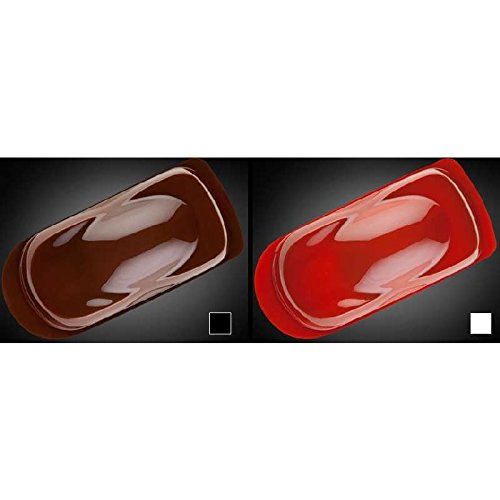 2 oz Wicked Colors Standard Airbrush Paints Color: Red Oxide