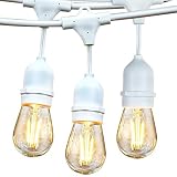 Brightech Ambience Pro - Waterproof LED Outdoor String Lights - Hanging 2W Vintage Edison Bulbs - 48 Ft - Creates Bistro Ambience in Your Gazebo, Back Yard - White