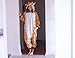 Emolly Fashion Adult Giraffe Animal Onesie Costume Pajamas for Adults and Teens