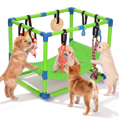 Nestly Puppy and Cat Play Gym