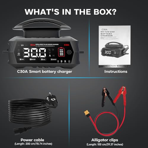 30A Car Battery Charger, Haisito 6V/12V/24V Charger and Holder for AGM Gel SLA EFB LiFePO4 9 Stage Auto Charger with LCD Display for Car Motorcycle