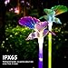 K-MAN Solar Lights Outdoor Decorative-Solar Garden Lights,Upgraded 7-Color Changing LED Solar Hummingbird Stake Lights for Patio,Backyard,Garden(Purple,Green &Blue,3 Pack)