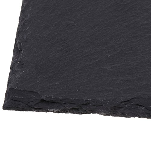 image for Kesoto Turtle Tortoise Dish for Reptile Amphibians Food Bowl Natural R