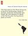 The Naturalist on the River Amazons. A record of adventures, habits of animals, sketches of Brazilian and Indian life, and aspects of nature under the Equator, during eleven years of travel. VOL. I by 