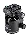 Induro Tripods BHL2S Ball Head (Black)