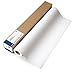 Epson Professional Media Premium Photo Paper GLOSSY (13 Inches x 32 Feet, Roll) (S041378)