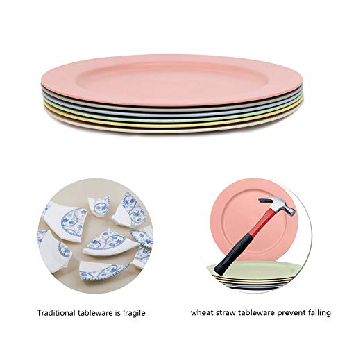 Shopwithgreen 6 pc 10 Inch Dinner Plates - Lightweight Unbreakable Wheat Straw Plates - Dishwasher and Microwave Safe
