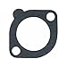 Stant 25168 Thermostat Gasket