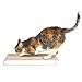 4CLAWS Flat Scratching Pad (2 Pack, White) - Basics Collection Cat Scratcher