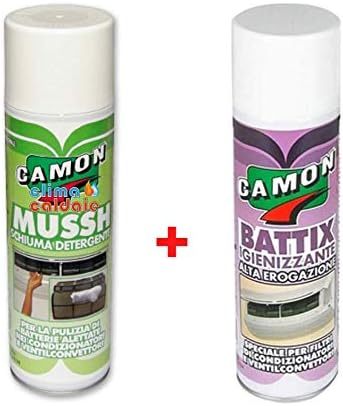 detergente per muffe per auto