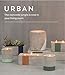 Paddywax Candles Urban Collection Soy Wax Blend Candle in Concrete Jar, Small- 3.5 Ounce, Sea Salt + Sage