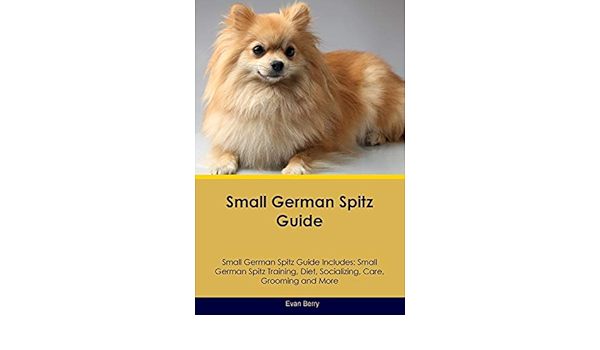 small spitz