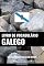 Livro Livro de Vocabulário Galego: Uma Abordagem Focada Em Tópicos
