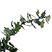 Dolls House Holly Leaf Garland Miniature Roping Xmas Decoration 12' Long