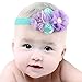 Queengirls Baby Girls Flower Headbands