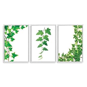 3 Piece Framed Canvas Wall Art for Living Room, Bedroom Green Plants Theme Canvas Prints for Home Decoration Ready to Hang - 16"x24"x3 Panels