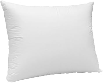 Pillow Cushion 10 90 Down Feather Pillow Inserts Pillow Form Home