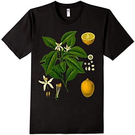 Men's Lemon Plant | Botanical Print | Tshirt Small Black