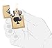 Zippo Black Spade Pocket Lighter, High Polish Brass