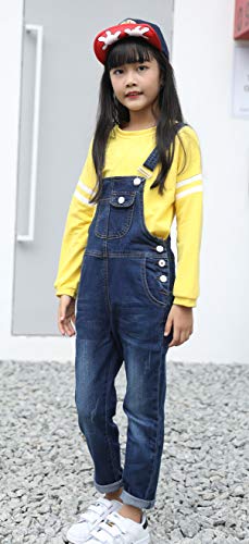 Girls Big Kid Distressed Bib Overalls 