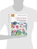 Image de Orchids in Watercolour (Ready to Paint)