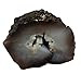 ERLIN 1LB Sun Dried Sea Cucumber BADIONOTUS large size