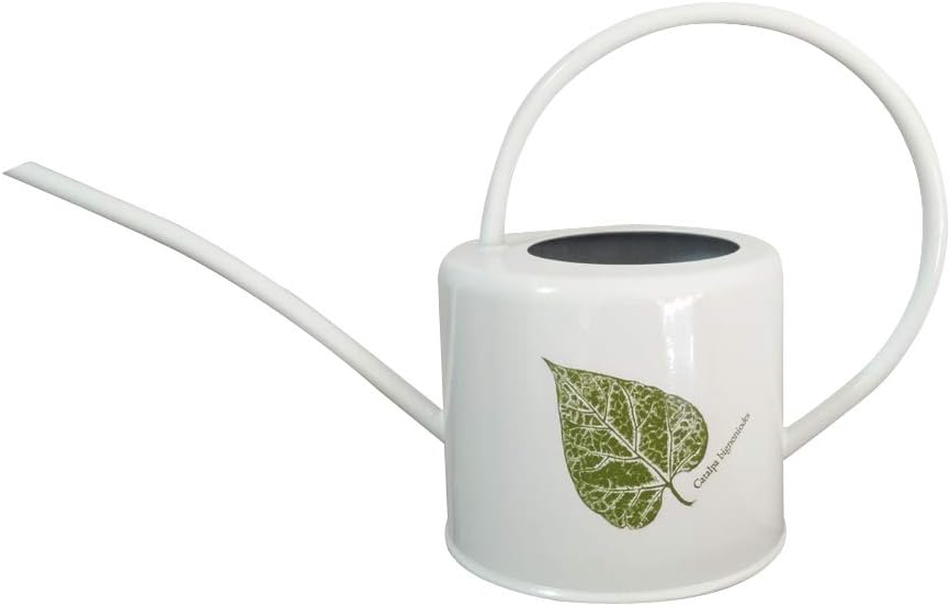 Layboo Retro Style Gorgeous Long Spout /Iron Watering Can Gardening Tool 1.7 L(White)