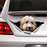 fabisup White Goldendoodle car, 3D