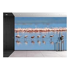 Flock of Flamingos Wading in The Shallow Lagoon Water - Removable Wall Mural | Self-Adhesive Large Wallpaper - 66x96 inches