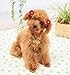 YAKA 40PCS(20Paris) Cute Dog Hair Bows with Rubber Bands Pearls Flowers Topknot Dog Bows Pet Grooming Products 20 Colors