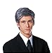 Costume Culture Men's Commander In Chief Wig, Grey, One Size