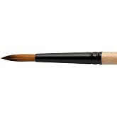 Dynasty Black Gold Series Synthetic Brushes Short Handle 6 Round