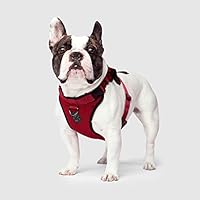 Canada Pooch | Everything Dog Harness | No-Pull Adjustable Dog Harness, Red, M