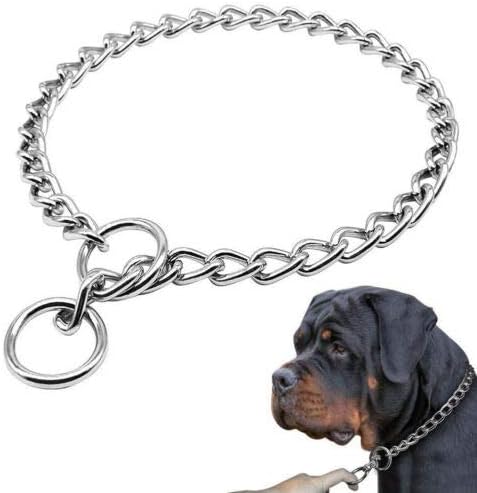 silver chain for dogs