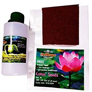 PerFarmers 10 pcs Lotus Flower Seeds With 100ml Organic Seed Starter Activator Liquid