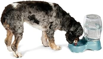 Petmate Pet Cafe Waterer Cat And Dog Water Dispenser 4 Sizes