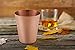 Divlor Moscow Mule Copper Mugs - Hammered Finish with Solid Copper Handle, Set of 2 with One Shot Glass, 16-Ounce