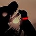 Flashseen LED Dog Collar, USB Rechargeable Glowing Pet Collar Night Safety LED Light Up Dog Cool Collars for Dogs with Nylon Webbing Perfect for Small, Medium, Large Dogs(Medium, Red)