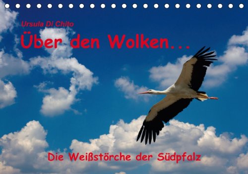 Über den Wolken - Die Weißstörche der Südpfalz (Tischkalender immerwährend DIN A5 quer) Über den Wolken - Die Weißstörche der Südpfalz (Tischkalender immerwährend DIN A5 quer)