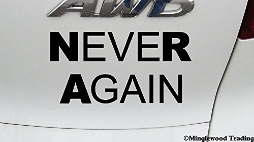 BLACK - NEVER AGAIN 5.5" x 3" Vinyl Decal Sticker - NRA - Gun Reform - Resist - 20 Color Options