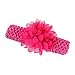 FEITONG(TM) 10 Pieces Babys Headbands Girls Headband Chiffon Flower Hair Bow