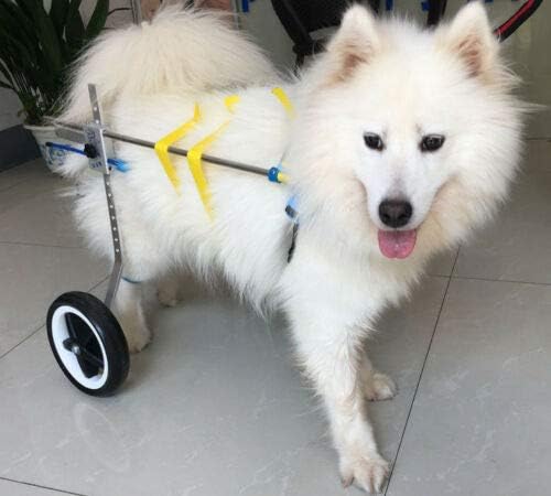 Adjustable Dog Pet Wheelchair, Hind Legs Rehabilitation, 7 Sizes (0--110lbs), Dog Cart ,Wheels (4.M Size: Hip height16--20.5", Width:7.9"--12.2")
