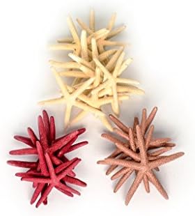 Marsala, Rose Gold, and Natural Finger Starfish for Decoration, 24