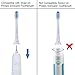Replacement Brush Heads for Philips Sonicare ProtectiveClean Toothbrush,fit DiamondClean Plaque Control Gum Health HealthyWhite FlexCare Sonic Electric Handles by HSYTEK 6 Pack