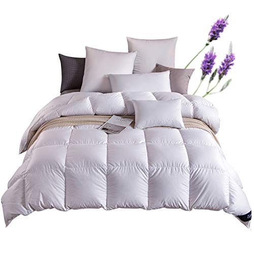 Globon Lavender Scented White Down Comforter Queen Size 90 Inch