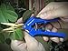 Happy Hydro Trimming Scissors - Curved Tip - Titanium Coated Blades with Spring-Loaded Comfort Grip Handles - 4 Pack
