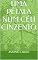 Livro UMA PÉTALA NUM CÉU CINZENTO
