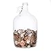 Velucio Glass Money Jar - Holds Over $2,500 in Coins!