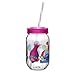 Zak Designs Trolls Movie 19 oz. Canning Jar Tumbler, Poppy, Branch, DJ Suki, Biggie & Guy Diamond