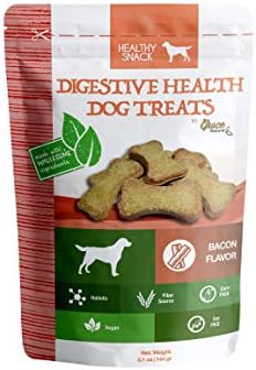 4 year old french bulldog